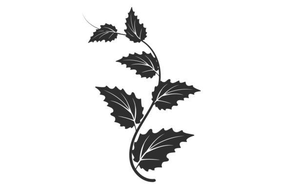 Black Leaves Branch. Decorative Botany.