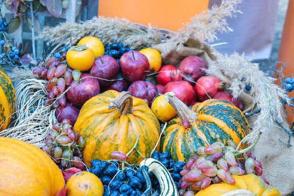 Decorative Pumpkin Autumn Decorations Bring Seasonal Flair to Design
