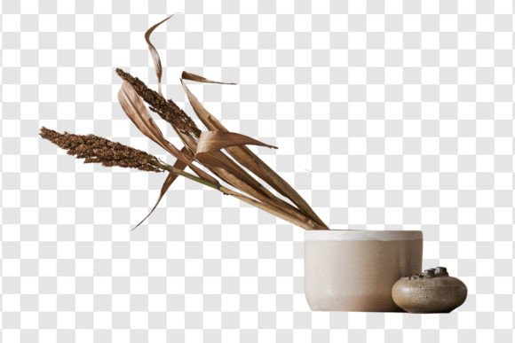 Enhancing Your Design Workflow with the 1834 Decorative Vase With Plant Isolated