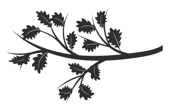 Oak Branch. Forest Nature Decorative Black Element Isolated on White Background